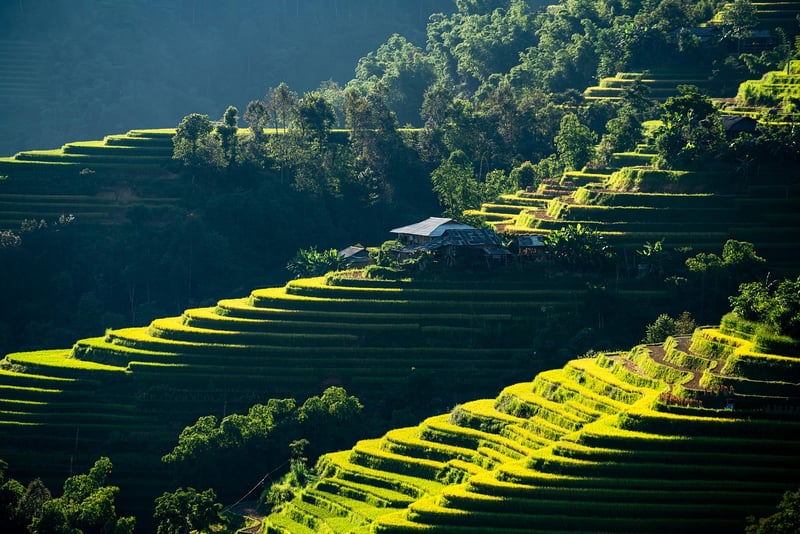 Bohemian Decor Image